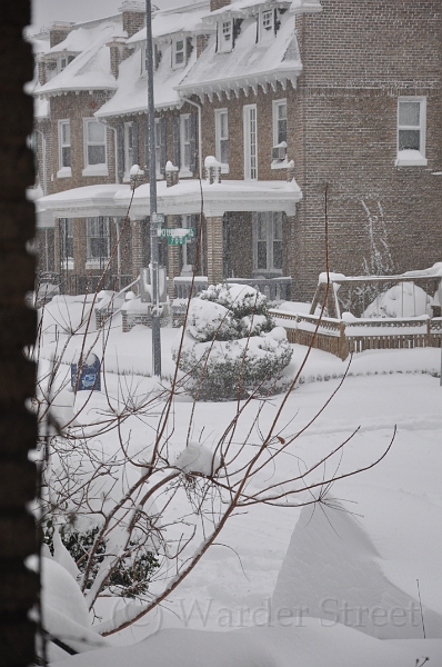 February 2010 Snowstorm 07.jpg